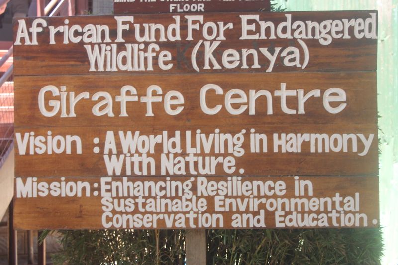 Nairobi Private Tour - The Giraffe centre