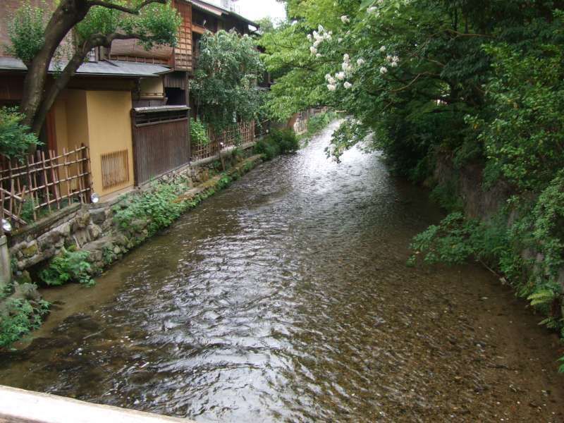 Kyoto Private Tour - 祇園"白川"（河）