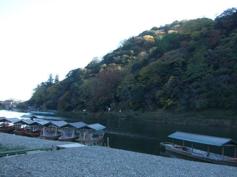 Kyoto Private Tour - 嵐山與桂川（河）