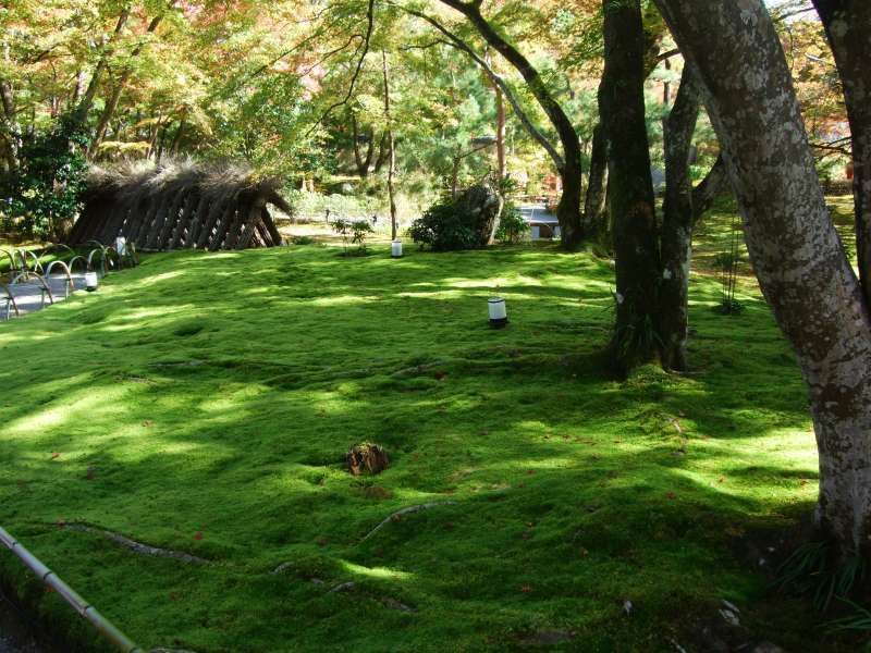 Kyoto Private Tour - 嵐山。"寶嚴院"（不定期對外開放）