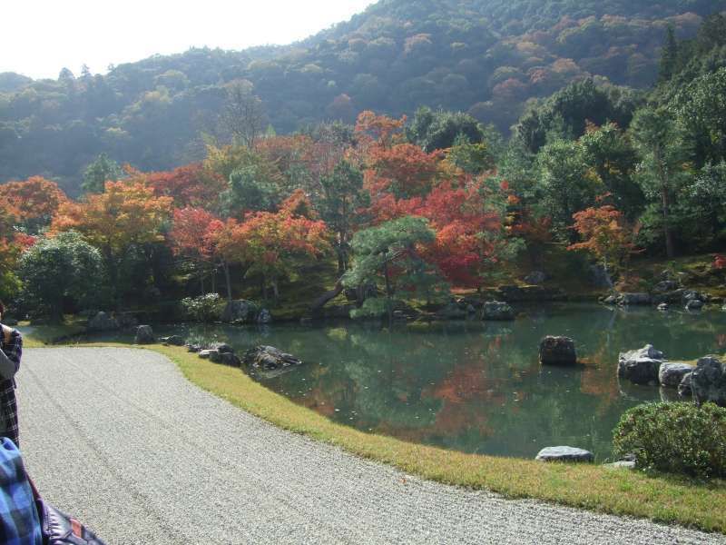 Kyoto Private Tour - 天龍寺‧世界文化遺產。
非常有名的迴游式日式庭園。