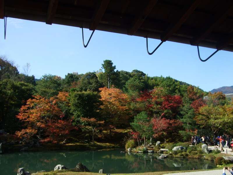 Kyoto Private Tour - 天龍寺‧世界文化遺產。
非常有名的迴游式日式庭園。