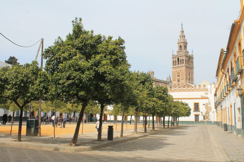 Seville Private Tour - Patio de Banderas. Probably one of the most beatiful corners of Seville.