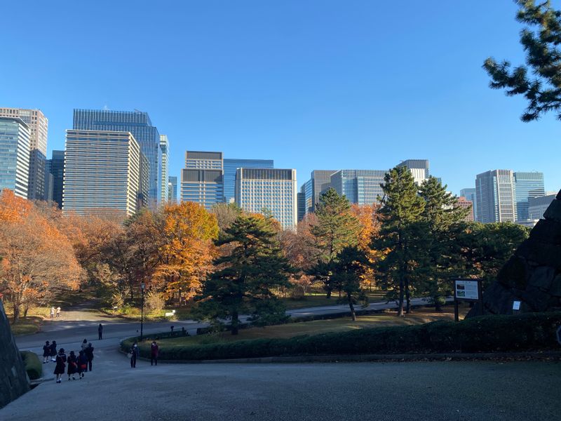 Tokyo Private Tour - The Imperial Palace and central business district, Marunouchi