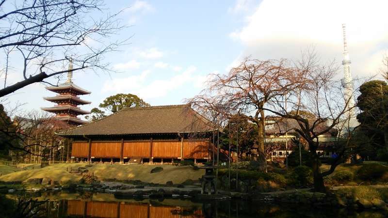 Tokyo Private Tour - Beautiful scenery inside the precincts of Sensoji temple