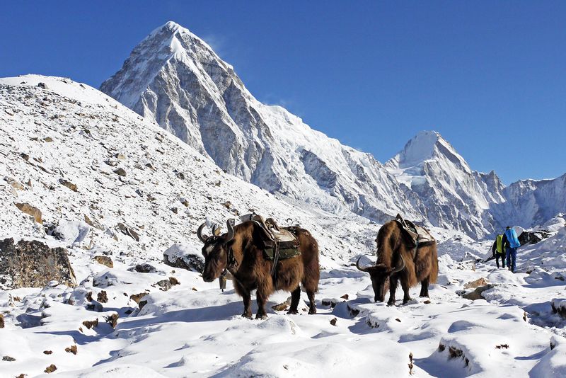 Bagmati Private Tour - Picture during the trek from Lobuche to Gorakshep 