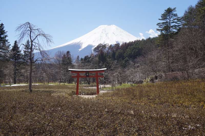 Mount Fuji Private Tour - 