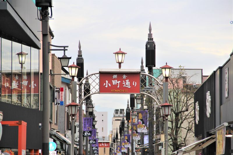 Tokyo Private Tour - Komachi Street〈Kamakura sightseeing one day tour〉
