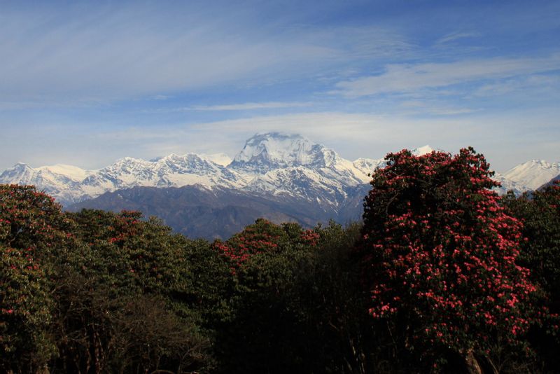 Kathmandu Private Tour - Magnificent Views of Annapurna 