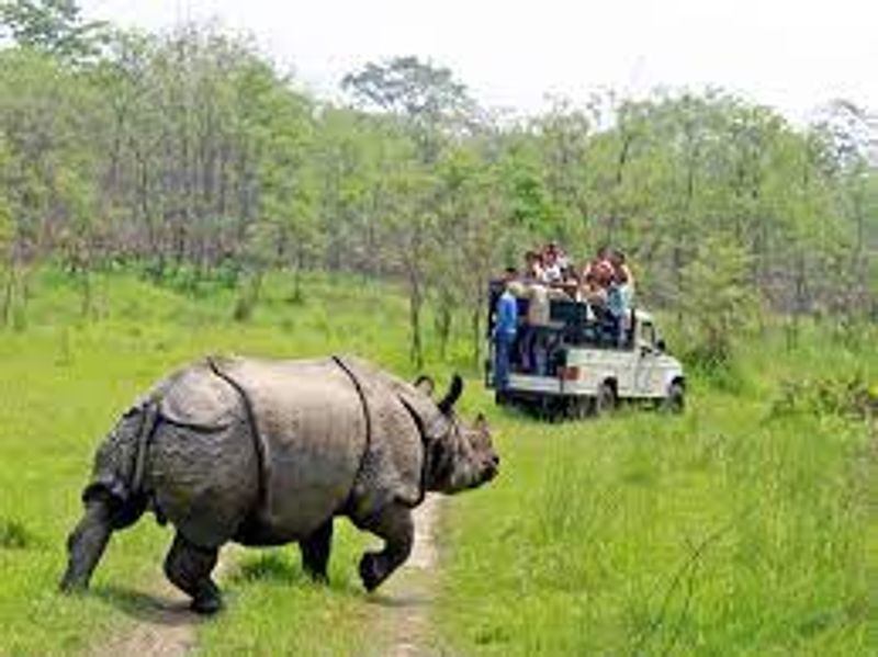 Kathmandu Private Tour - Jeep Safari at Chitwan National Park 