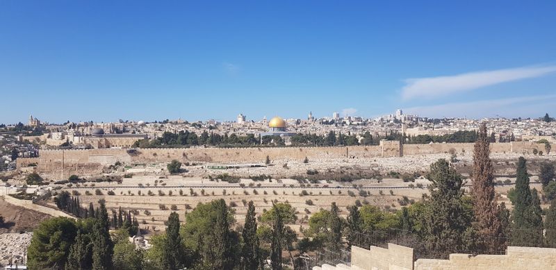 Jerusalem Private Tour - View of the old city from Mount of olive 