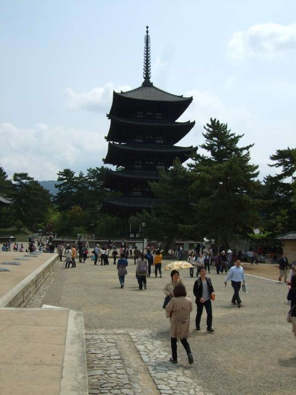 Nara Private Tour - 興福寺