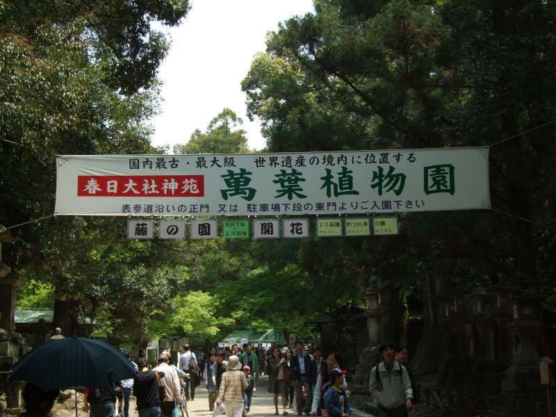 Nara Private Tour - 春日大社（神社）的植物園