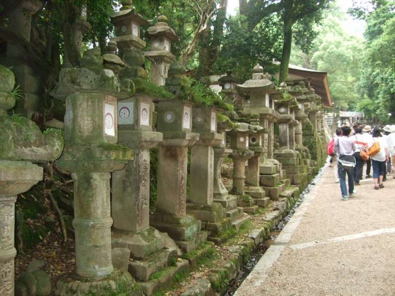 Nara Private Tour - 春日大社參拜道