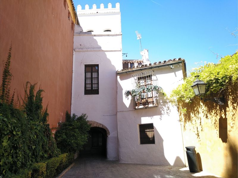 Seville Private Tour - Santa Cruz district Jewish Quarter Seville