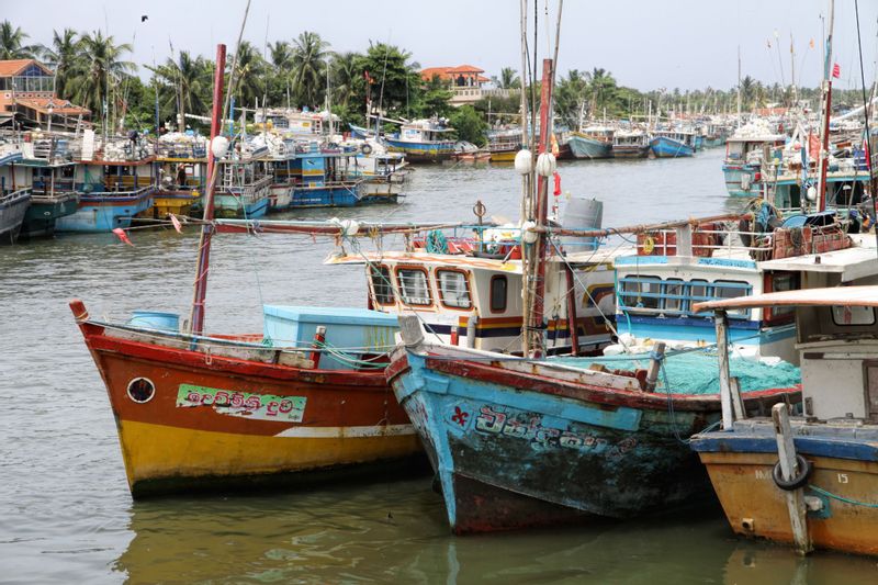 Colombo Private Tour - Negombo Fish Harbour
