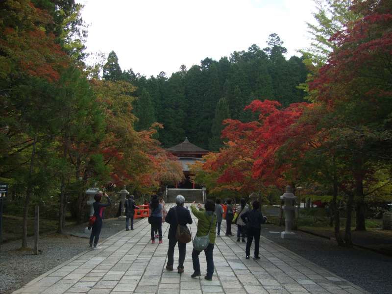 Mount Koya Private Tour - 高野山"奧之院"參拜道