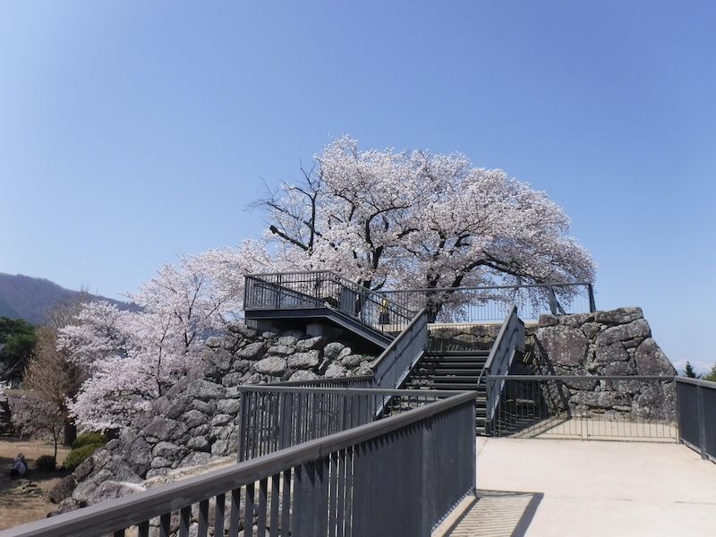 Nagano Private Tour - Stone walls and Cherry blossoms (mid-April)