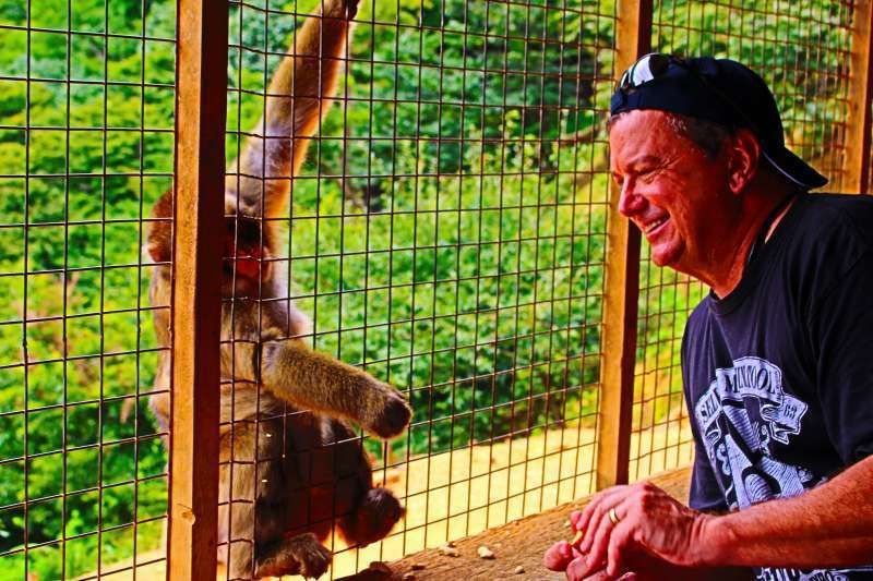 Kyoto Private Tour - Have a close contact with a monkey.