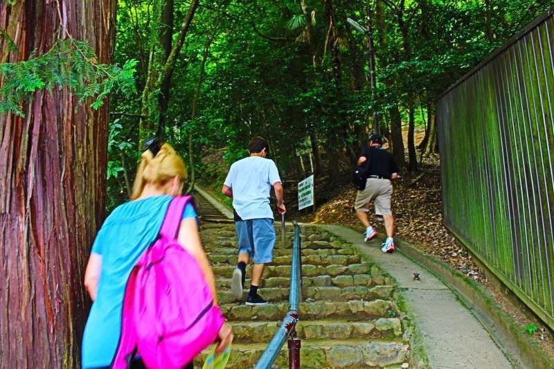 Kyoto Private Tour - On the way to the monkey heaven!