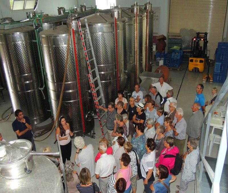 Olympia Private Tour - Olympia Land winery