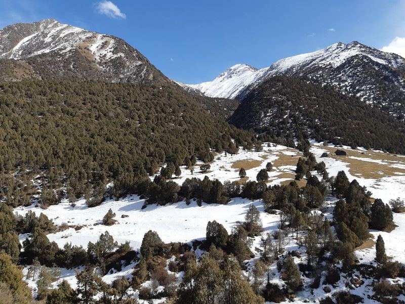 Bishkek Private Tour - Alamedin gorge