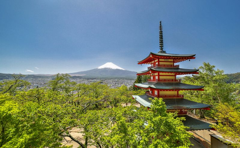 Tokyo Private Tour - Arakurayama Sengen Park〈Mt.Fuji / Lake Kawaguchi area scenic spots one day tour〉