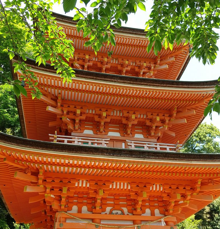 Shiga Private Tour - Three-story pagoda at the small island