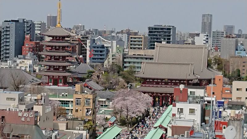 Tokyo Private Tour - Asakusa:  Sensoji Temple, Five-storied pagoda and Nakamise shopping street