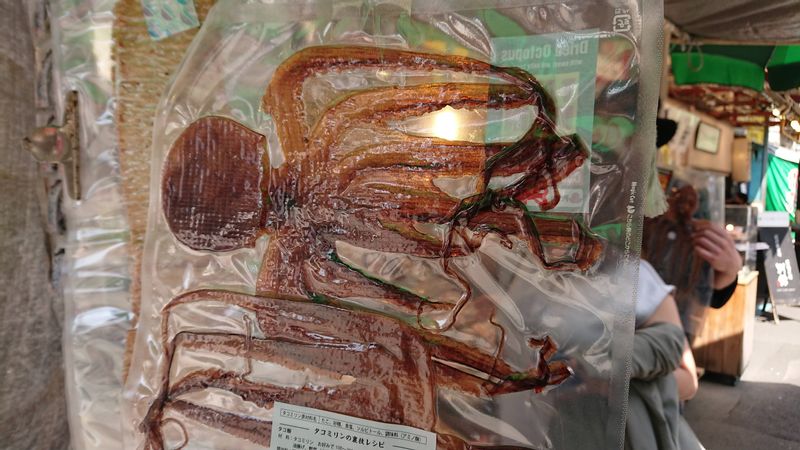 Tokyo Private Tour - Tsukiji Market: Alien???