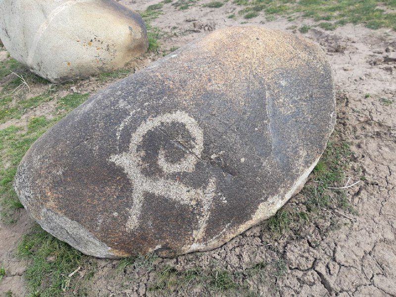 Bishkek Private Tour - Petroglyphs in Kyrgyzstan