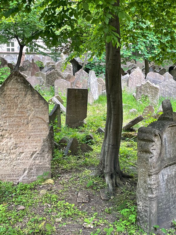 Prague Private Tour - Cemetary