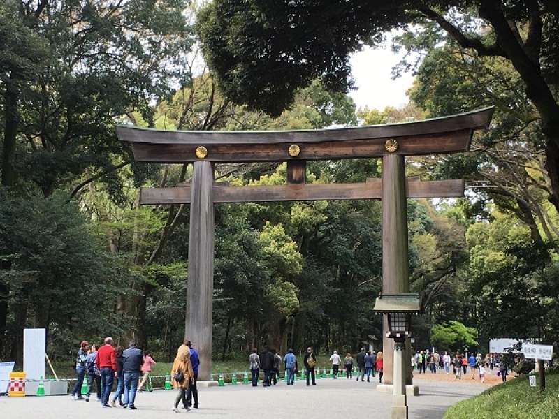 Tokyo Private Tour - Big Torii gate at Meiji Shrine