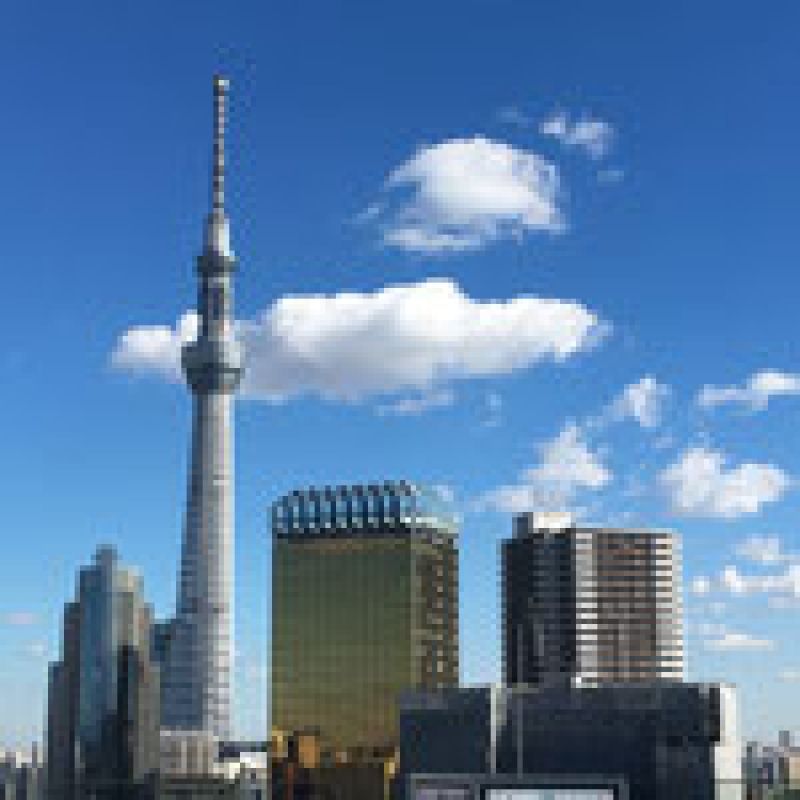 Tokyo Private Tour - View from Asakusa 