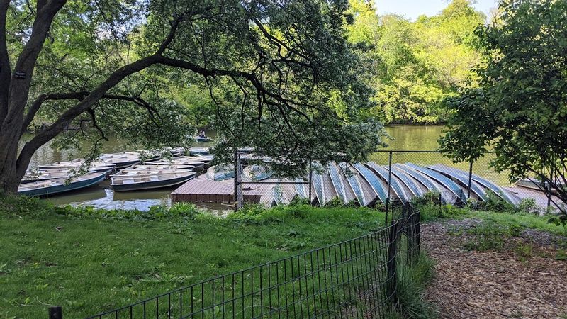 New York Private Tour - Boats at the Lake