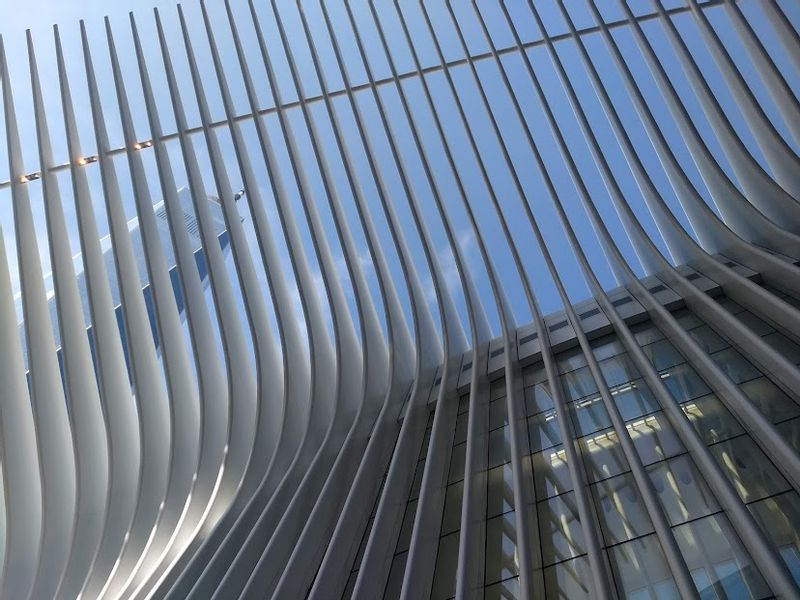 New York Private Tour - Oculus 