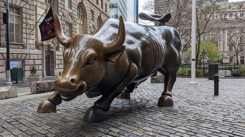 New York Private Tour - Charging Bull