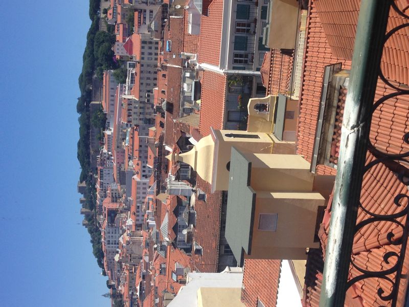 Lisbon Private Tour - Castle 