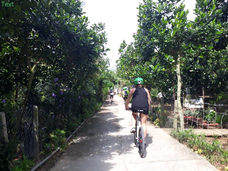 Ho Chi Minh Private Tour - Experience the real Mekong Delta by bikes,boats and kayaks