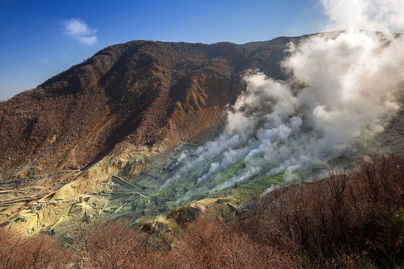 Hakone Private Tour - Owakudani