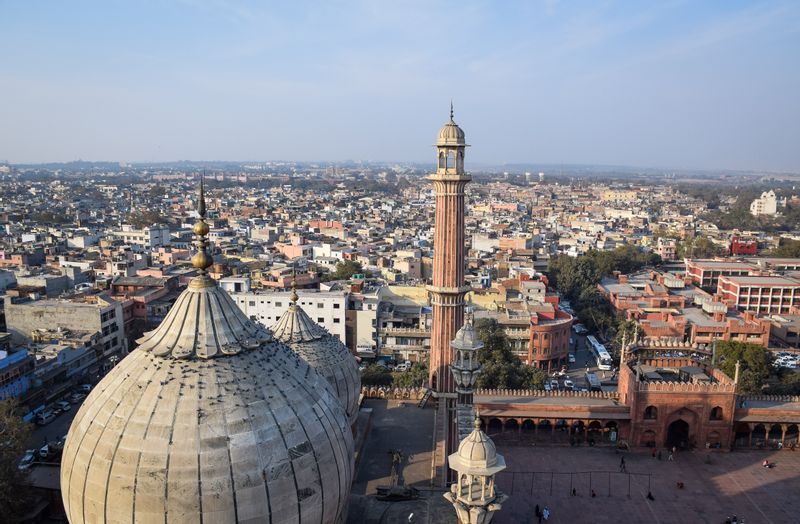 Delhi Private Tour - view of the old city 