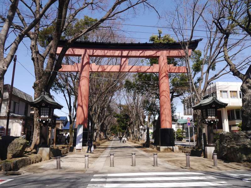 Saitama Private Tour - Torii Gate of Hikawa Shrine