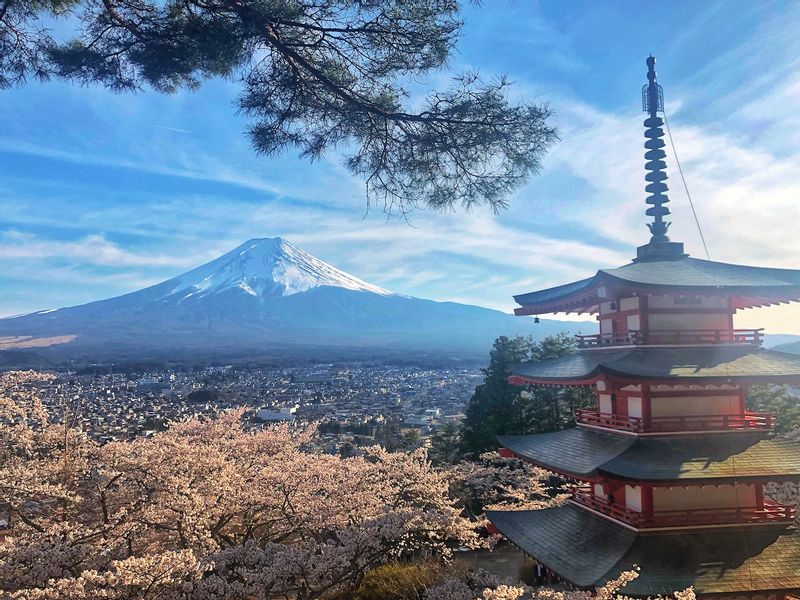 Mt. Fuji private customize tour with luxury van Mount Fuji GoWithGuide