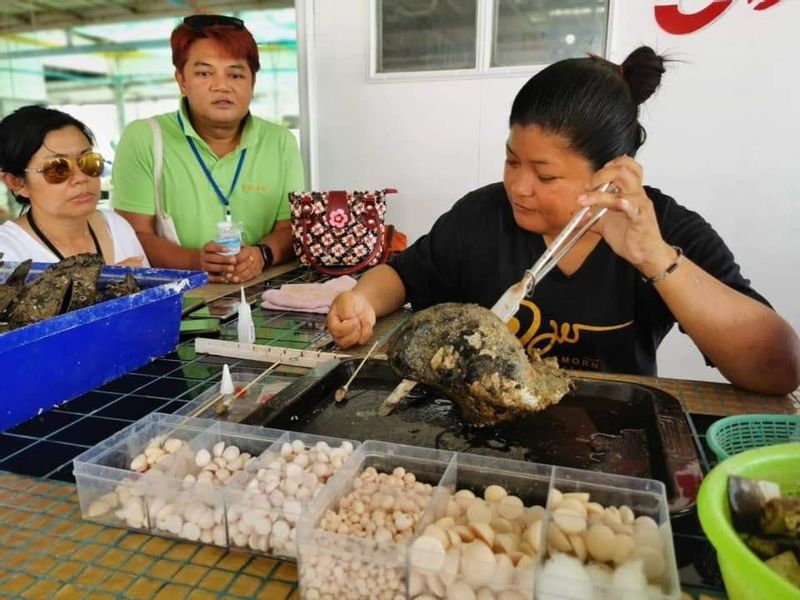 Phuket Private Tour - 21.	Pearl Farm