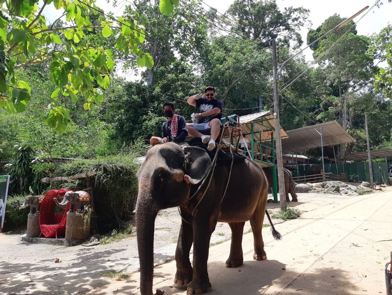 Phuket Private Tour - 13.	Elephant Camp