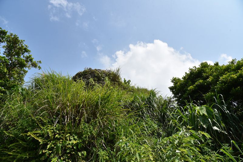 Okinawa Main Island Private Tour - Now the Pinnacle is covered by the bush and almost forgotten.