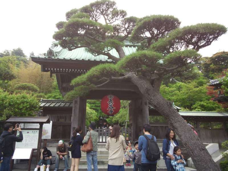 Kamakura Private Tour - Interesting  entrance of Hase temple