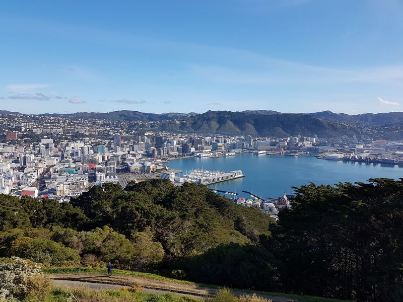 Wellington Private Tour - The view from Mt Victoria