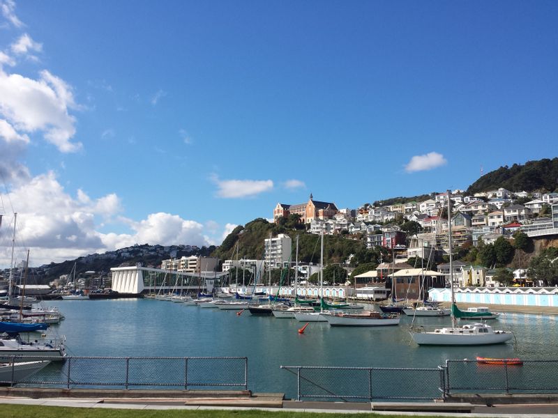 Wellington Private Tour - Oriental Parade