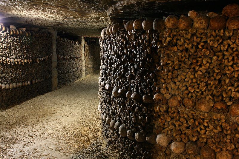 Paris Private Tour - A gallery of bones.
Photo from Gaspard Duval